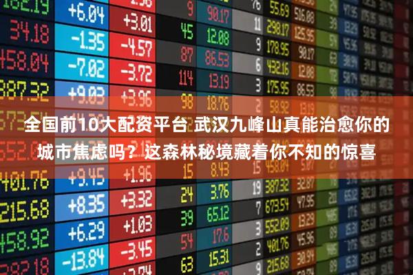 全国前10大配资平台 武汉九峰山真能治愈你的城市焦虑吗？这森林秘境藏着你不知的惊喜